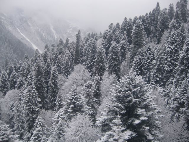 IMG_0731.JPG