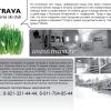 ТРАВА