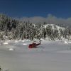 Resized 27022009028-1.jpg