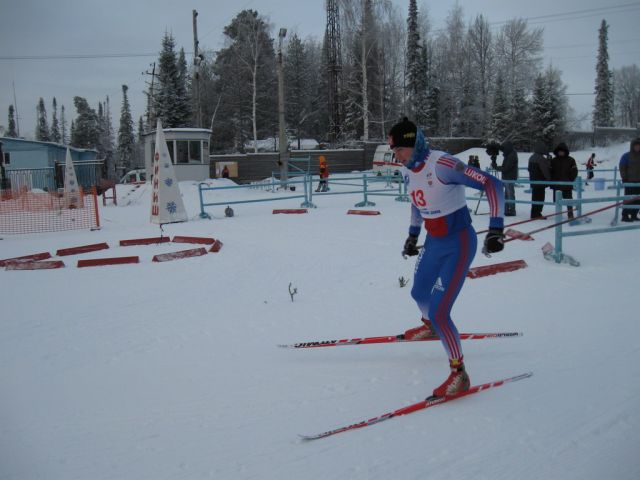 Лось2.jpg
