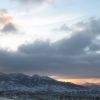 IMG_1451_1.jpg