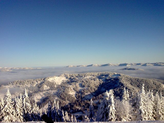 Зображення011.jpg