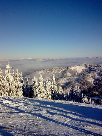 Зображення013.jpg
