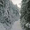 Bansko5