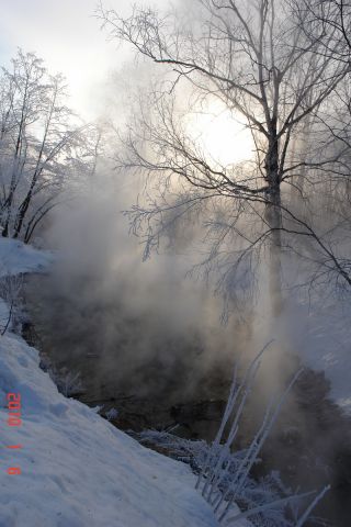 DSC05142.JPG
