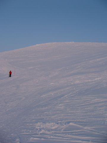 P1070054.jpg