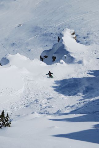 DSC_0703.jpg