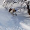 DSC_0527_измен.размер.jpg
