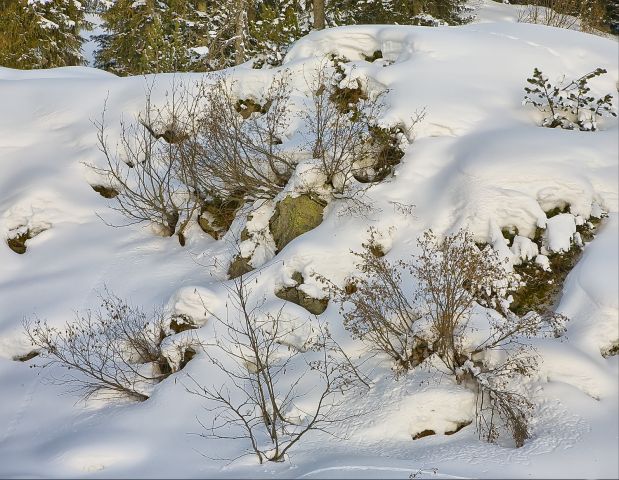 austria_2010_86_новый размер.jpg