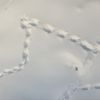 austria_2010_82_новый размер.jpg