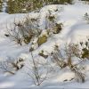 austria_2010_86_новый размер.jpg