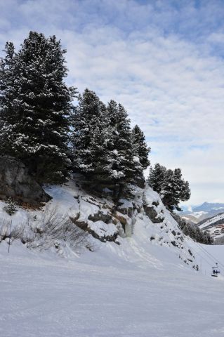 DSC_0430.JPG