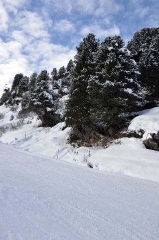 DSC_0428.JPG