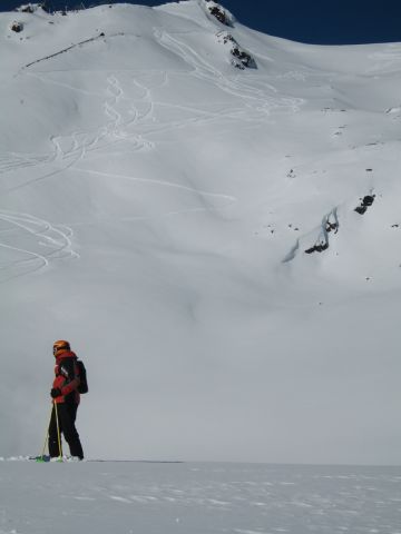 IMG_2074.jpg