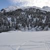 DSC_0439.JPG