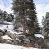 DSC_0429.JPG