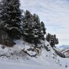 DSC_0430.JPG