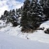 DSC_0428.JPG