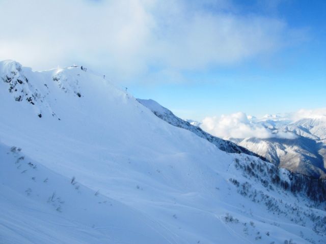 IMG_4466.JPG