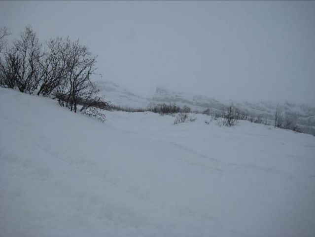Resized IMG_4227.jpg