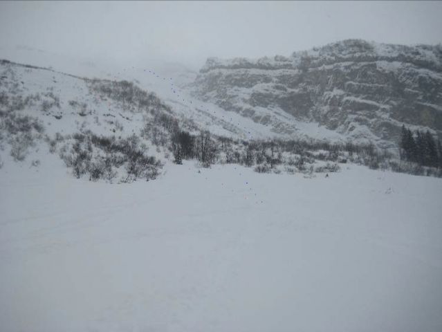 Resized IMG_4260 1.jpeg