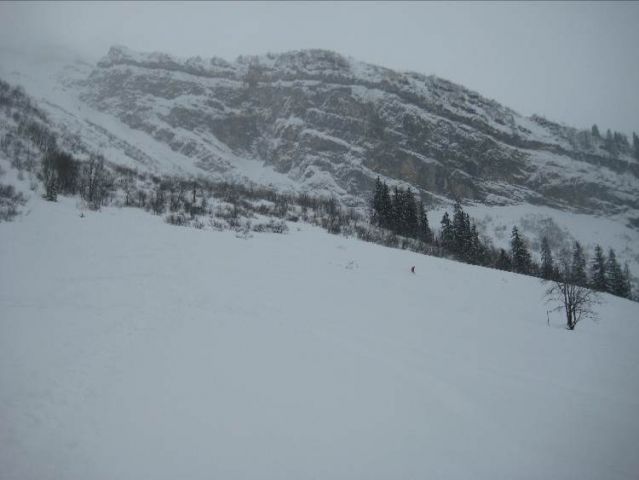 Resized IMG_4262.jpg