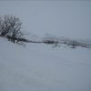 Resized IMG_4227.jpg