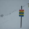 Resized IMG_4242.jpg