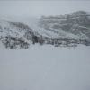 Resized IMG_4260 1.jpeg