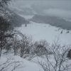 Resized IMG_4259.jpg