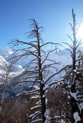 DSC_0339.jpg