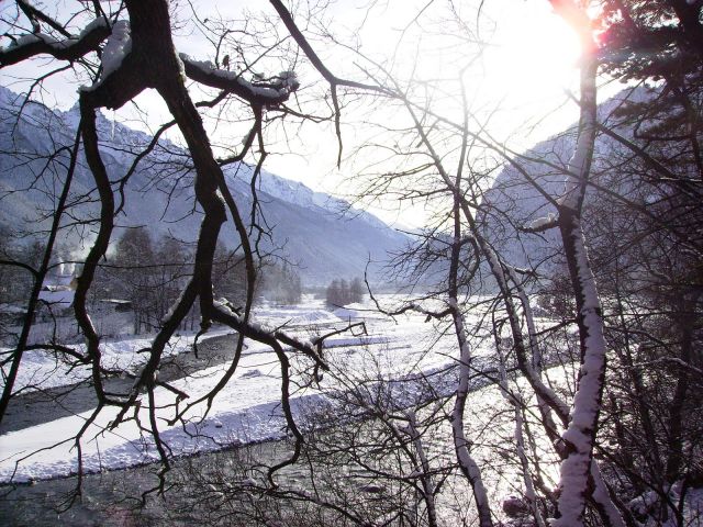 IMGP3561.JPG