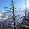 DSC_0339.jpg
