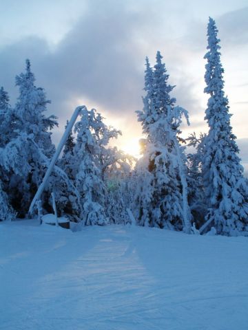 PICT0015.JPG