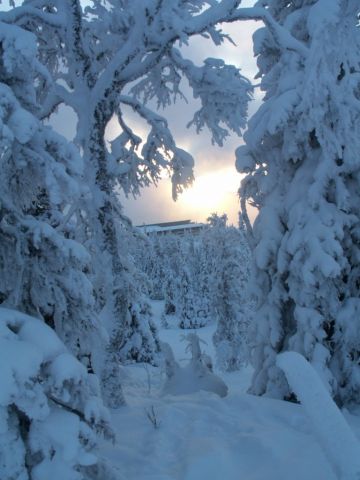 PICT0016.JPG