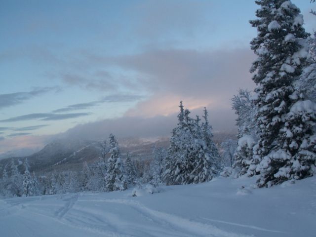 PICT0014.JPG