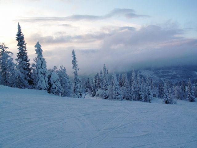 PICT0023.JPG