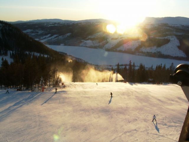 PICT0273.JPG
