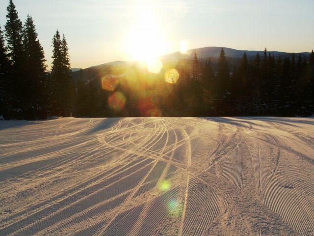 PICT0225.JPG
