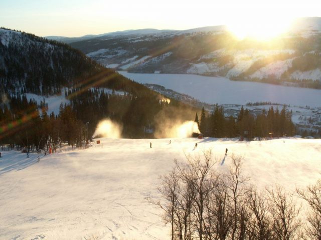 PICT0275.JPG