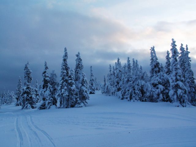 PICT0025.JPG