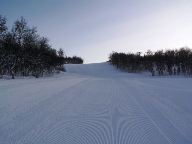 PICT0221.JPG