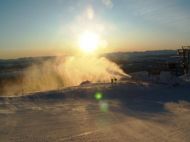 PICT0290.JPG