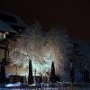 DSC04776.JPG