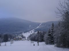 Вид на трассы 1-й очереди подъемника.