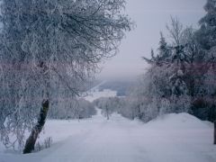 Дорога в Рамзова