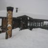 IMG_4497.JPG