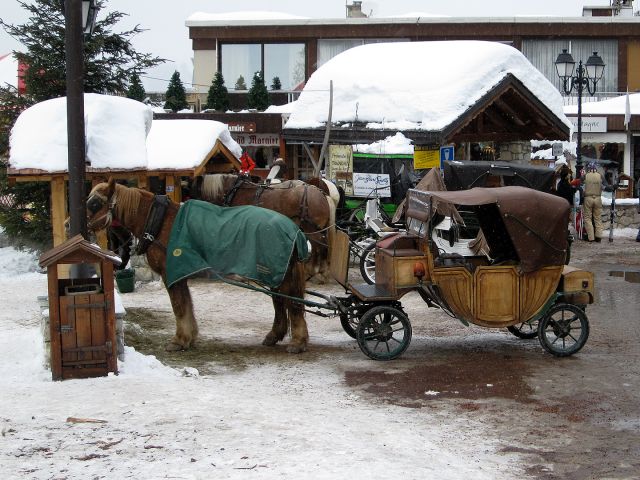 IMG_1527.jpg