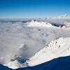IMG_1481.jpg