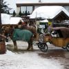 IMG_1527.jpg